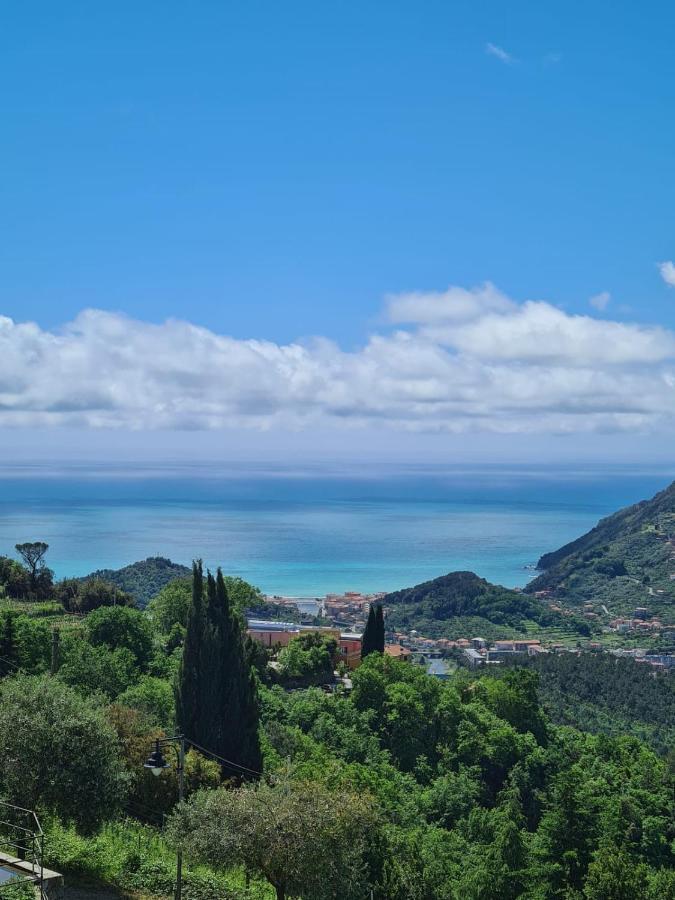 La Casetta Del Casale In Vigna, Cinqueterrecoast Casarza Ligure Eksteriør billede